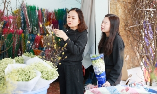 Bắc Ninh:  Thị trường hoa, cây cảnh sôi động trước Tết